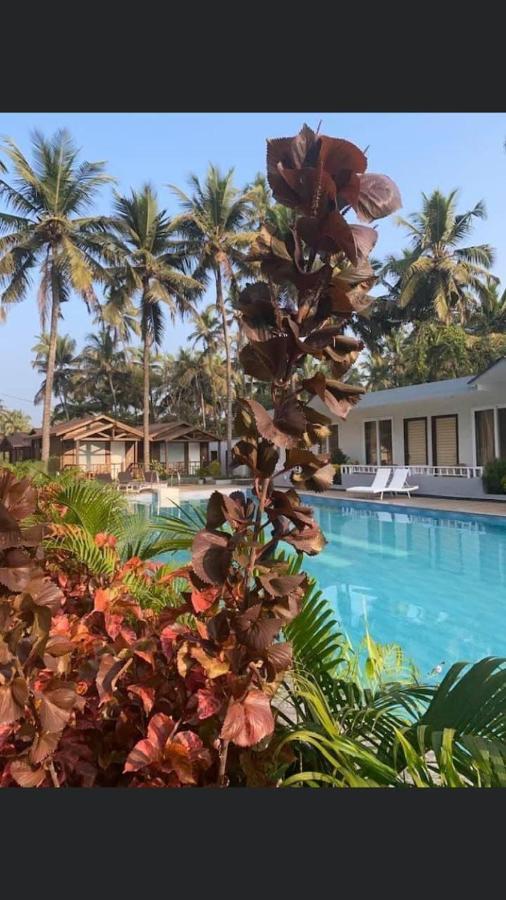 Golden Sands Resort, モージム エクステリア 写真